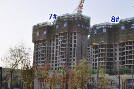 8栋是8号楼的意思吗
