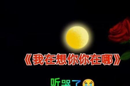 因为我在想你是哪首歌里的词