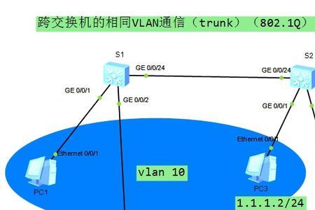 trunk接口