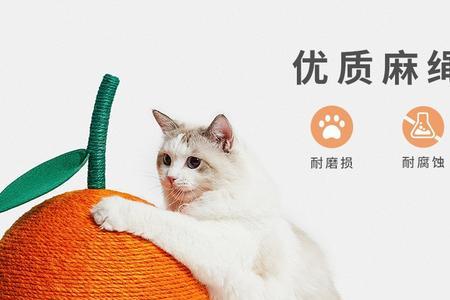 猫树助力可以助力多少次