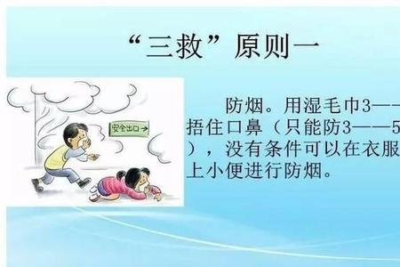 国际救灾三大原则