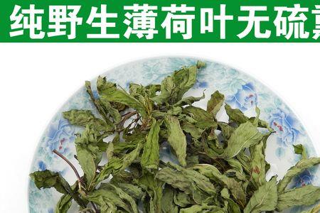 青杆薄荷好还是紫杆薄荷好