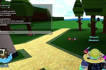 roblox一直显示测验真人怎么办