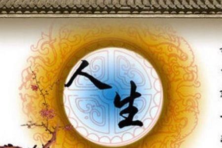 人生十有八之九不如意
