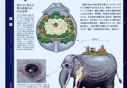 海贼王象主怎么在海上走