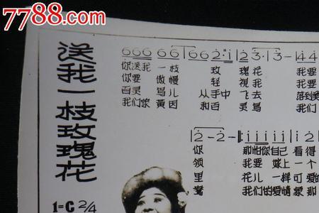 歌曲你送我一支玫瑰花原唱是谁
