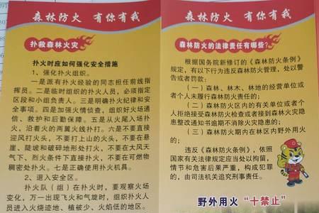 森林防火内容怎么写50条