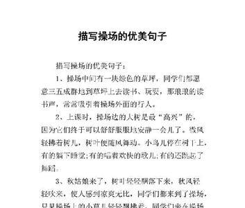 描写游乐设施多的句子