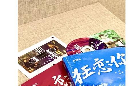狂恋你小说结局