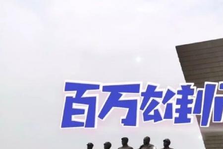 百万雄狮的意思
