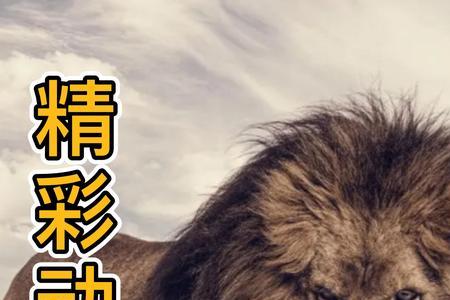 雄狮克里斯蒂安结局
