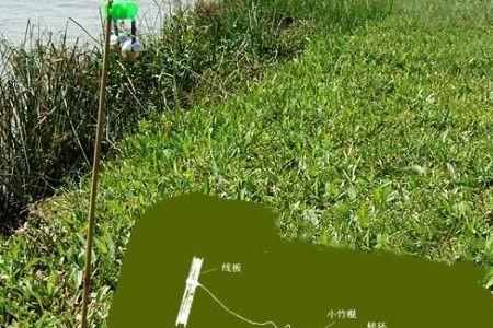 斯库拉c772ml抛多重的饵