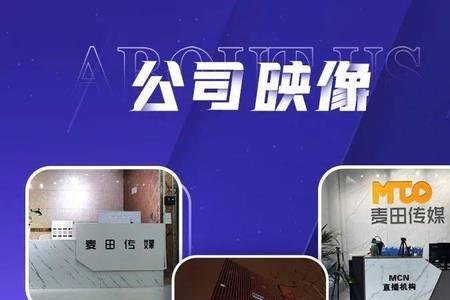 严寻平台产品怎么样