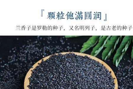 奇亚籽和兰香子的区别