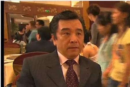 你勒个宝气啥意思