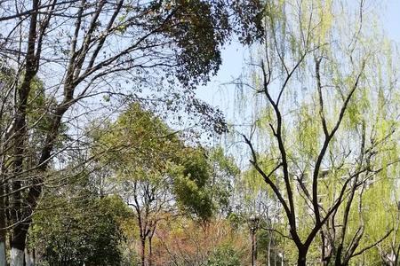公园静静的什么