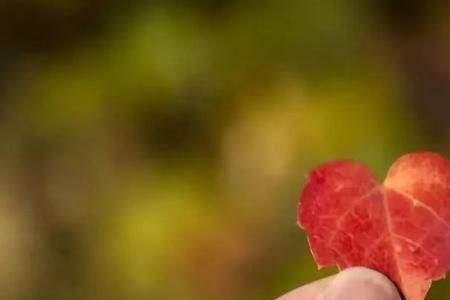 宁做风流鬼不做花下人啥意思