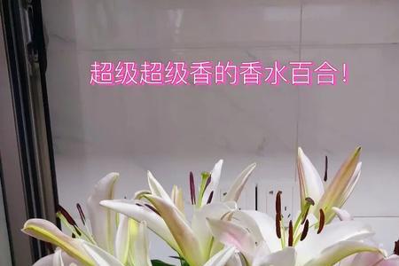 鲜花前面加什么动词
