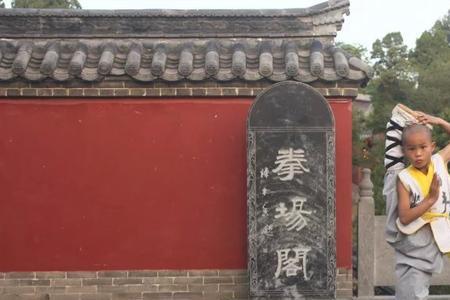 我去少林学武功的儿歌