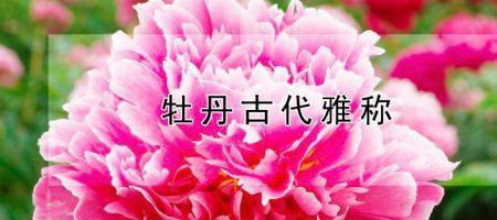 十七号在古代的雅称