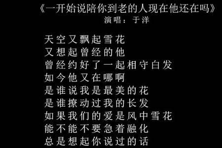 那个说好陪你到老的人求歌名