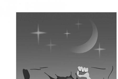 半夜三四点回家的都是什么货色