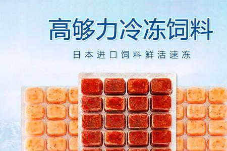 高够力冰冻丰年虾怎么样