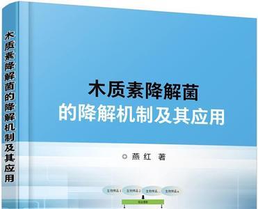 燕红民雄大结局