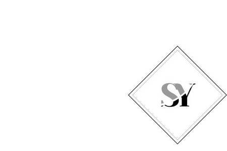 SY,是什么城市的开头字母啊