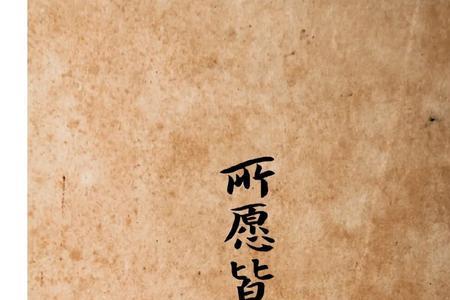未来所期皆所愿