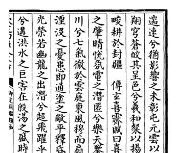 前颠后偃的意思