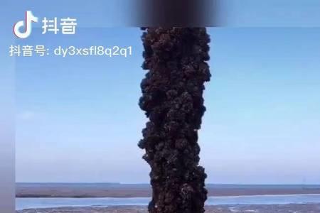 定海神针是什么意思