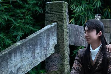 赘婿故事线完整版