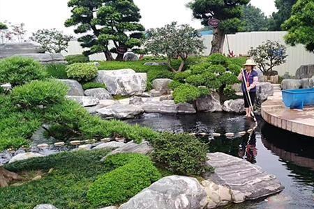 莲花池放在庭院什么位置好