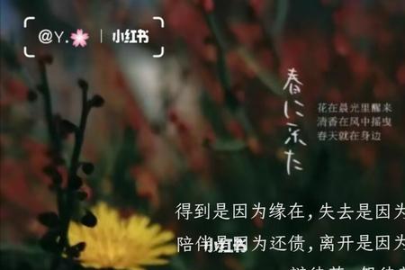 缘来缘去意思