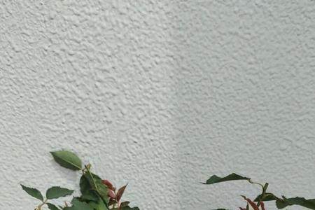 加百列为什么背叛天堂