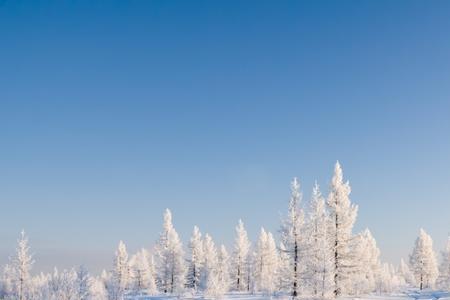 都柏林的冬天没有雪什么意思
