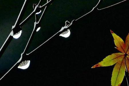 暮雨亦成诗