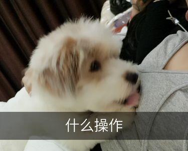 歌词卧槽无情是哪首舞曲