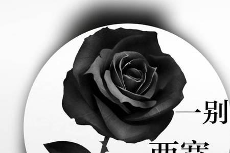 一别两宽歌词含义