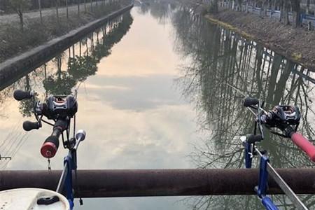 死讯和活汛哪个钓鱼好