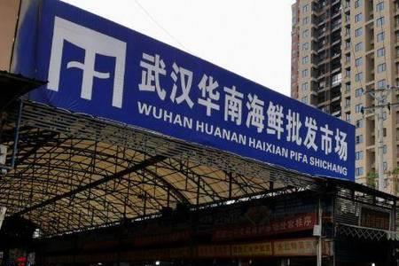 华南海鲜市场包括哪些