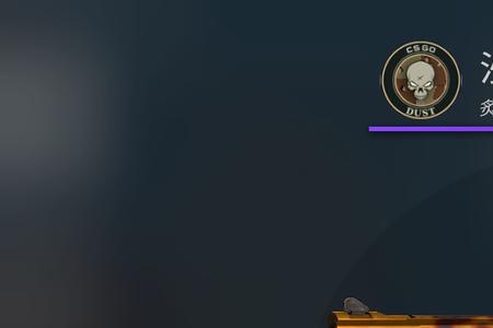 csgo职业选手用什么沙鹰皮肤