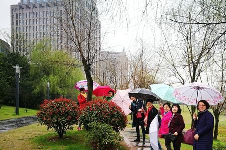 雨中生情的意思