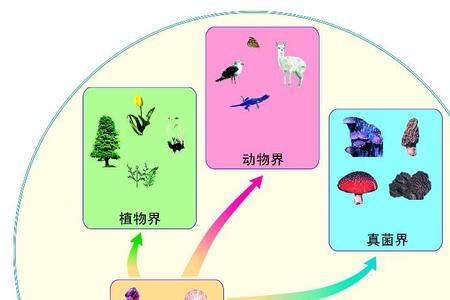 格里尔逊式名词解释