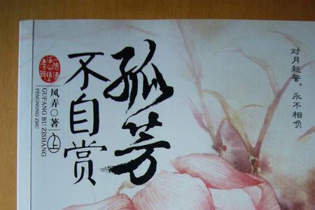 孤芳不自赏原著小说