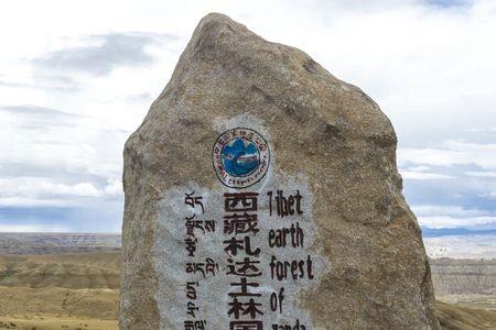 1万年前西藏海拔高度
