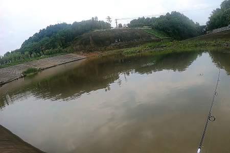 冬季小雨天钓底还是钓浮