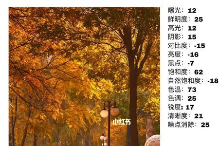 为什么苹果相机都是暖色调