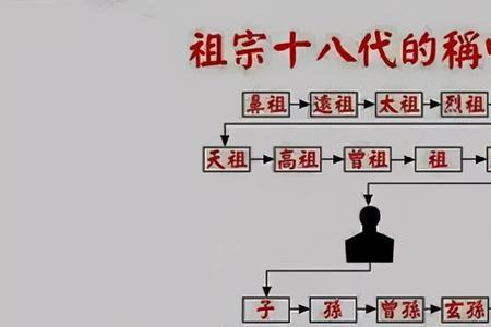 表舅对我的称呼是什么